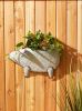 Galvanized Pig Wall Planter - Rustic Farmhouse Decor for Indoor or Outdoor Use