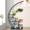 5-layer Semi-circular Iron Wood Black Iron Flower Rack