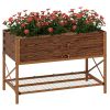 40" x 20" x 10" Galvanized Steel Raised Garden Bed, Metal Garden Bed with Storage Shelf, Dark Brown