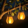 Outdoor Solar Lanterns with Flickering Flame – 2 pack