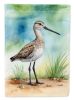 Western Willet Bird Garden Flag Mailbox Decorative Yard Banner Outside Patio Artwork for Flower Beds, Garden Size, Multicolor