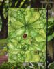 Shamrocks and Lady bugs Garden Flag Mailbox Flag Decorative Yard Flag Banner Outside Patio Artwork Yard Flower Beds, Garden Size, Multicolor