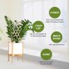 Yegbong Garden Plant Trellis Home Wooden Pot Climbing Pergola Balcony Decoration Support Flower Arrangement Supports