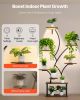 VEVOR Plant Stand Indoor with Grow Lights, 62 in Tall 8-Tier Lighted Plant Shelf, Metal Corner Plants Holder, 3 Timer & 10 Brightness