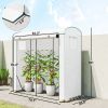 Mini Greenhouse, Portable Greenhouse with Roll-Up Door and 2 Mesh Windows, PE Cover, 78.7" x 29.5" x 74", White