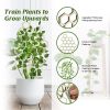 Yegbong Garden Plant Trellis, Home Wooden Geometric Molding Decorative Support Flower Arrangements Climbing Pergola