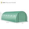 19.7' x 9.8' x 6.6' Plastic Greenhouse Cover Replacement, Heavy Duty Waterproof Tarp for Hoop House, Sheeting with 12 Windows